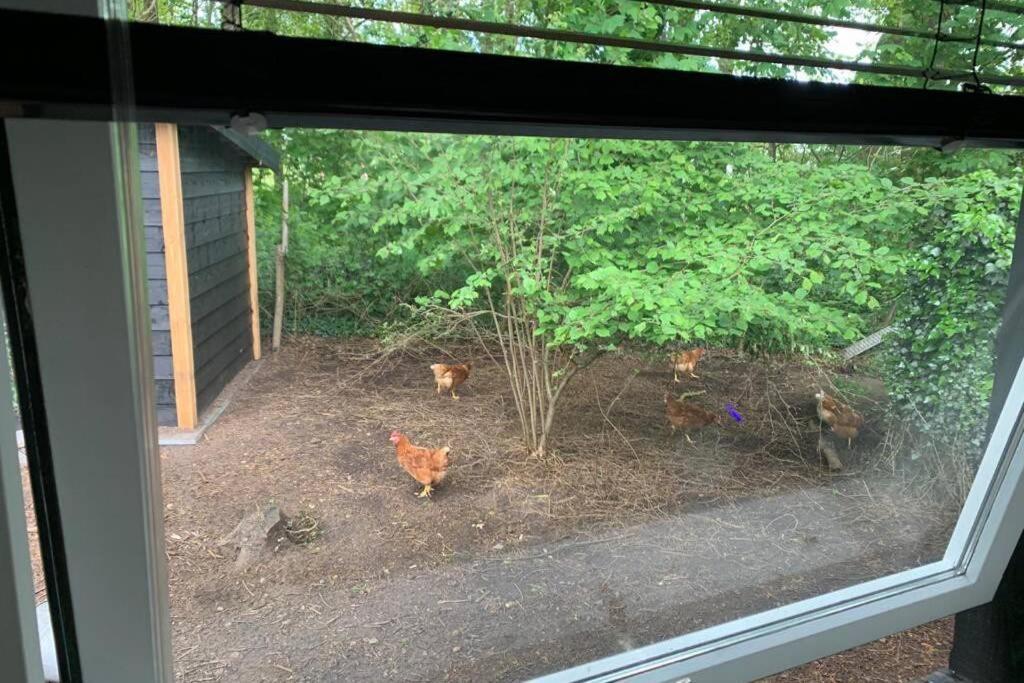 Villa Prachtig gerenoveerd bakhuis EneRené à Vught Extérieur photo